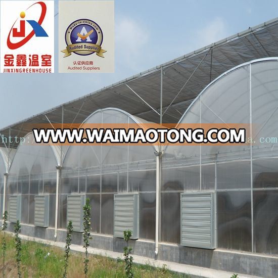 High-Quality Film Multi-Span Greenhouse, Arch-Type