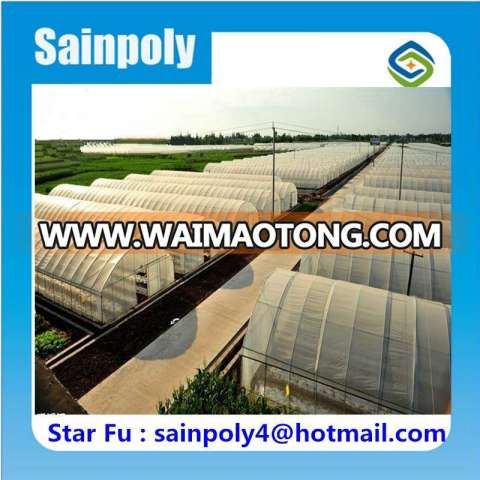 China Supplier Hot Sale Production Tunnel Greenhouse